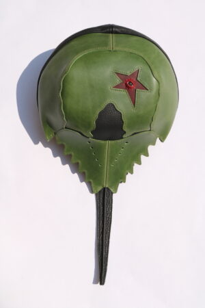 Green and Black Horseshoe Crab Cap